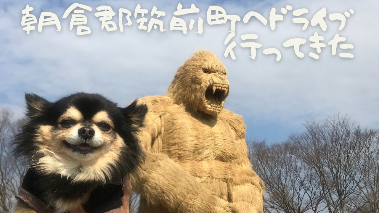 九州 福岡筑前町へ愛犬も一緒に日帰りドライブしてきました ころすけの雑記ブログ W