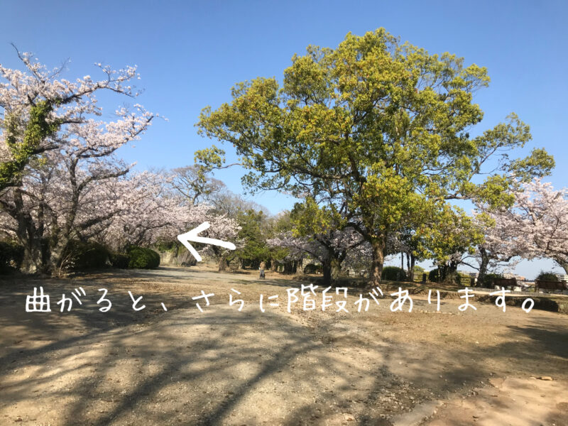 美輪明宏の福岡パワースポットで有名。舞鶴公園の福岡城跡について紹介！9