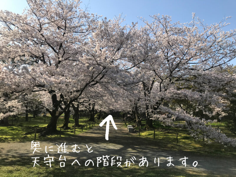 美輪明宏の福岡パワースポットで有名。舞鶴公園の福岡城跡について紹介！10