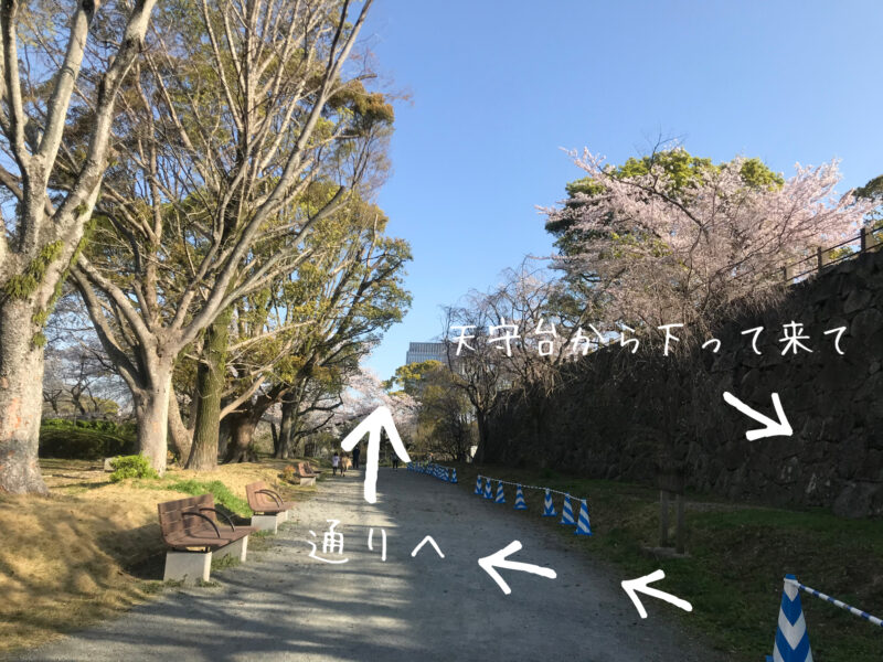 美輪明宏の福岡パワースポットで有名。舞鶴公園の福岡城跡について紹介！13