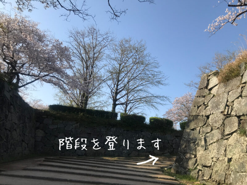 美輪明宏の福岡パワースポットで有名。舞鶴公園の福岡城跡について紹介！8