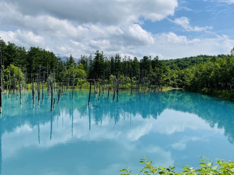 青い池北海道