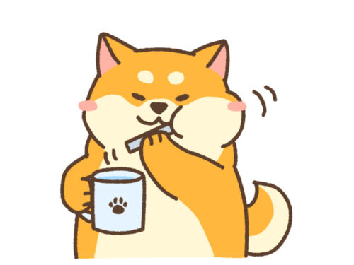 犬の歯磨きしないと寿命縮む!手遅れで後悔した話を実体験から紹介2